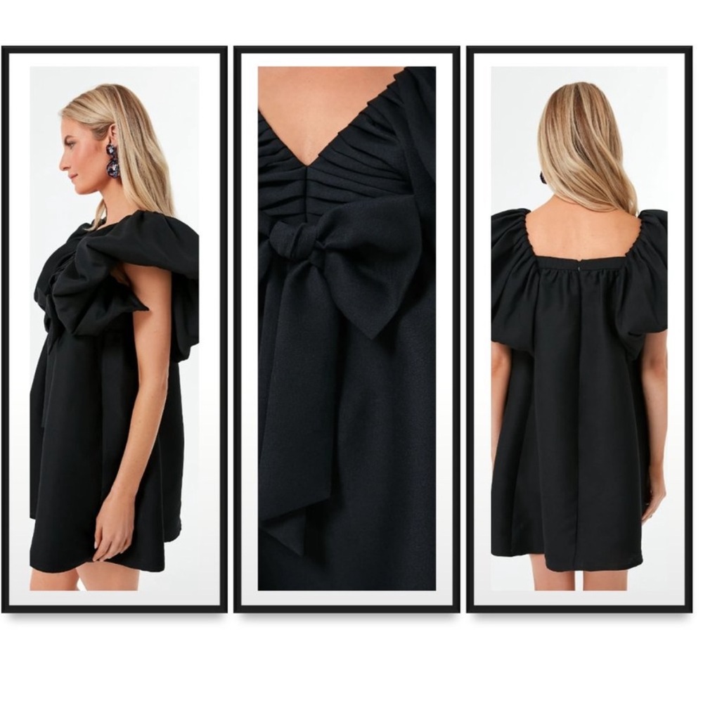 Black Brooke Mini Dress
TUCKERNUCK - Picture 8 of 8